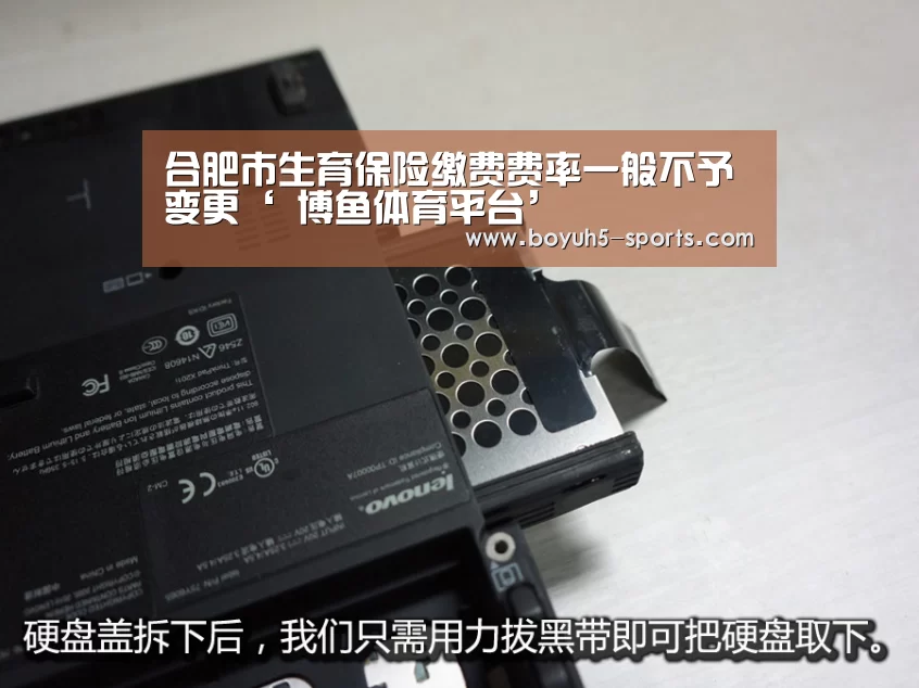合肥市生育保险缴费费率一般不予变更‘ 博鱼体育平台’(图3) 博鱼体育
